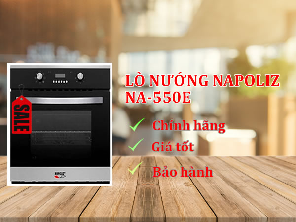 Lo-nuong-NA-550E-13
